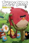 Angry Birds Bird Houses