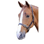 Shires Blenheim Fully Adjustable Leather Headcollar-Havana Extra Full