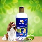 Dunk n Dogs Natural Pet Shampoo with Conditioner Making it Best for Sensitive and Itchy Skin II Combo Pack Shampoo + Bathing Massager Free (5 in 1 Lavender Shampoo)