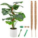 LMAIVE Moss Pole, Moss Pole for Plants Monstera, Bendable Plant Sticks Support, Plant Stakes for Indoor Plants, 25''Coco Coir Pole Plant Support, Monstera Moss Pole for Climbing Plants Growth