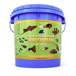 New Life Spectrum Optimum Flakes 600g (Naturox Series)