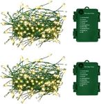 2Pack Outdoor Fairy Lights Battery 