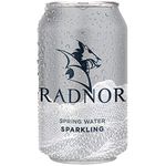 Radnor Sparkling Spring Water Cans - 330ml (Box 24)