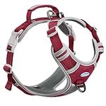 ThinkPet No Pull Harness Breathable Sport Harness with Handle-Dog Harnesses Reflective Adjustable for Medium Large Dogs,Back/Front Clip for Easy Control L Dark Red