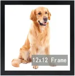 RUN HELIX 12x12 Frame, Horizontal and Vertical Formats for Wall Hanging, 12 x 12 Square Wall Gallery Poster Photo Frame with Durable Shatter Resistant Plexiglass, 12 x 12 Picture Frame Black