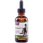 Native Remedies PESR001 PetAlive EaseSure for Pets Promotes Healthy Brain and Nervous System in Dogs and Cats 60ml