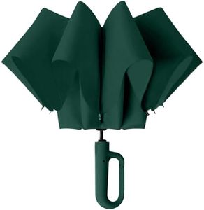 Zemic UV Umbrella with Novelty Carabiner Handle, Travel Umbrellas for Rain and Sun Windproof Compact, Automatic Open Close, 8 Ribs, Portable Umbrella for Men and Women (Green)
