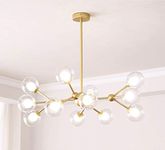 Dellemade Chandelier,Gold Light Fixture for Bedroom,12-Light Ceiling Light Fixture for Dining Room,Living Room,Kitchen