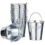 THE TWIDDLERS - Mini Serving Buckets - Premium Galvanized Metal Buckets for Snacks or Table Decorations - Ideal Chip Basket, 11 x 8 cm (12 Pack)