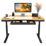 FLEXISPOT Electric Standing Desk with Drawer, 55“ Bamboo Desktop w/Wireless Charging, Dual Motor 3 Stages Adjustable Height Stand up Desk with Cable Management Tray (Black Oval Legs + Bamboo Top)