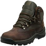 Timberland Men's 15130 Chocurua Trail GTX Boot, Brown/Green, 10. 5 M