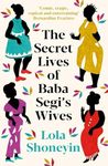 The Secret Lives of Baba Segi's Wiv