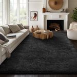 Ophanie 8x10 Black Area Rugs for Li