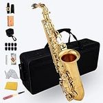 Aisiweier Gold E Flat Alto Saxophon