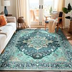 RELEANY 6x9 Area Rugs 6x9, Washable