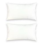 AZARYA Pillow Insert/Decorative Pillow Inserts/Hypoallergenic Inserts/Set of 2 (12x20)