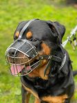 STRONG Wire Metal muzzle Basket Dog Muzzle Rottweiler,Mastiff Golden Retriever & other (R2, Silver/Black Leather)