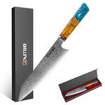 XITUO Kiritsuke Chef Knife,8 inch- Japanese VG10 Steel - Damascus Kitchen Meat Sushi Cutting Cleaver Knife w/octagon Blue Resin handle