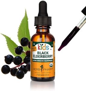 Herb Pharm Kids Certified-Organic Alcohol-Free Black Elderberry Glycerite Liquid Extract, 1 Ounce