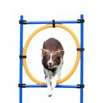 Trixie Dog Activity Agility Ring (Orange/Blue)