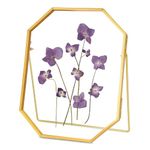 REDHUGO Glass Pressed Flower Frame Handmade, Octagon