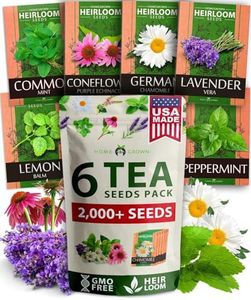 HOME GROWN Medicinal Herb Seeds Collection | 6 Heirloom Tea Seeds | Non GMO Lavender, Chamomile, Mint Seeds for Planting Outdoors & Indoors - Lemon Balm, Peppermint, Echinacea