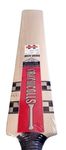 Gray Nicolls Cricket Bat