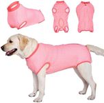 LovinPet Dog Recovery Suit: Surgica