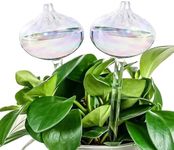 Twinkle Star 2PCS Plant Self Watering Globes, Self Watering Planter Insert for Indoor Outdoor Plants, Plant Watering Devices for Vacation (Onion)