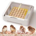 Vinofes 36-65 Incubator for Chicken Eggs with Automatic Turning and Humidity Control - ℉ Temperature Display, Quail Eggs Incubators Also for Hatching and breeding Ducks, Geese Eggs