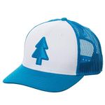 Gravity Falls - Dipper's Hat - Curved Trucker - Officially Licensed
