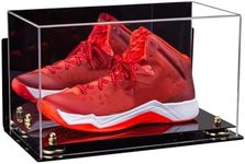 Better Display Cases Acrylic Large 