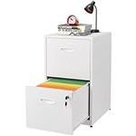 2 Drawer File Cabinet with Lock, Tw