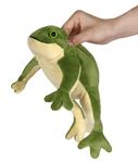 Ice King Bear Wild Animal Small Stuffed Animals Zoo Family Plush Toy (Frog 8 Inches)