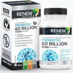 Renew Actives 60 Billion CFU Probiotic Supplement - Optimize Gut Flora for Gastrointestinal Wellness! Advanced Absorption Formula - 60 Capsules