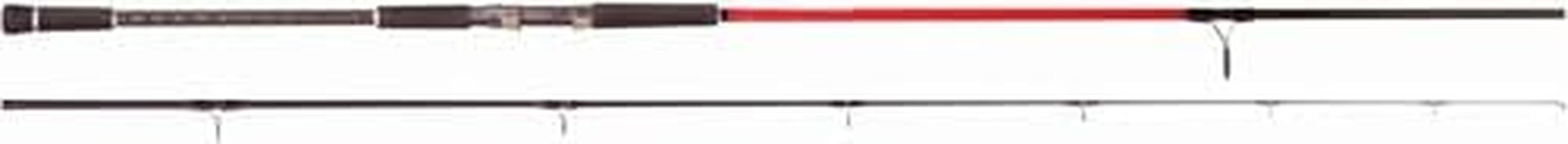 Timber Wolf 2 Sections Nano Red Surf Fishing Rod, 12 Feet Length