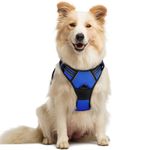rabbitgoo Dog Harness Medium No Pull Pet Harness with 2 Leash Clips, Adjustable Soft Padded Pet Vest Harness, Reflective No-Choke with Easy Control Handle for Training or Walking, Blue, M