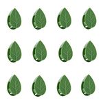 YIUIRUOI 50 Pcs Plant Wall Climbing Clips Green Vine Clip Invisible Plant Clips Plant Climbing Fixture Clips Plant Wall Clips Vine Hooks for Gardening Plant Support Fixture