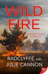 Wild Fire (A Red Sky Ranch Romance Book 2)