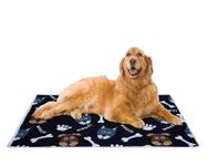 AAZEEM Soft Light Weight Mat for Dogs, Cats & Pets, Skin Friendly Mat| FloorMat | Pet Area Carpet | Anti-Spill 40 X 53 Inches | Grey Color|XL Size|