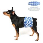 Dono Disposable Dog Nappies Male, 20pcs, Wetness Indicator, Male Dog Wraps, Dog Belly Bands,Super Absorbent, Leak-Proof, Incontinence, Excitable Urination,Heat, Marking Issues