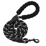 PETESCORT 6FT/10FT Strong Dog Leashes with Comfortable Padded Handle and Highly Reflective Threads for Small Medium and Large Dogs(6 Feet x1/2'' (Pack of 1), Black)