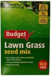 Yates Budget Lawn Grass Seed Mix 1 