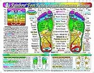 Rainbow® FOOT Reflexology/ Acupress