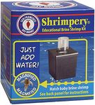 San Francisco Bay Brand Shrimpery Brine Shrimp Kit for Hatching Baby Brine Shrimp