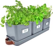 Green Thumbz Herb Pots for Kitchen Windowsill - Set of 3 Charcoal Grey Herb Planter Indoor with Leather Handled Tray - Ideal for an Indoor Herb Garden, Plants and Flowers - Labels Included