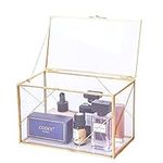 Utopz Decorative Clear Glass Box with Golden Geometric Line & Brass Shadow Box, Jewelry Display Treasure Case, 8 × 4.5 x 5 inch