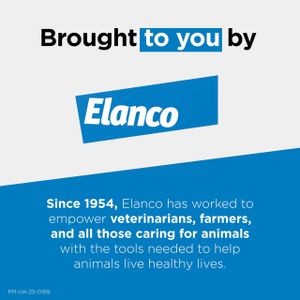 Advantage Spot On Flea Treatment for Cats & Small Dogs Under 4kg