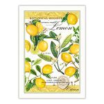 Michel Design Works Kitchen Dish Towel, Lemon Basil