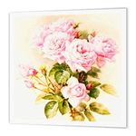 3dRose ht_151447_1 Paul De Longpre Shabby Chic Vintage Pink Roses Sun-Faded Antique Flowers Fine Art Girly Floral Iron on Heat Transfer Paper for White Material, 8 by 8"